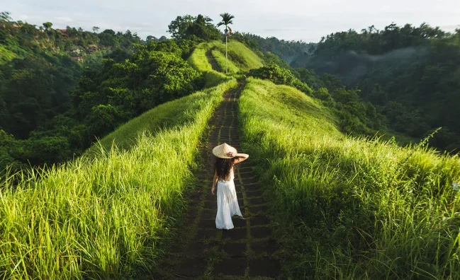 Ubud Tour