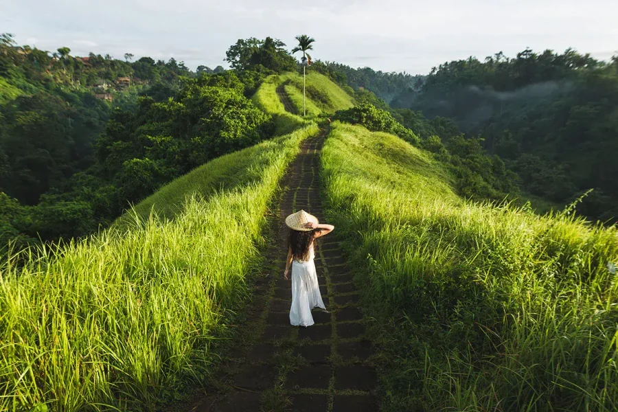 Ubud Tour